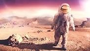 כך ייראו החיים על מאדים? הדמיה    