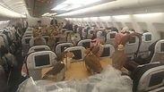 בזים לטיסה: 80 העופות שעלו השבוע לתא הנוסעים בגלל נסיך סעודי