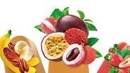 לקראת הקיץ: שלגונים דלי קלוריות משולבי פרי