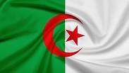 דגל אלג'יריה (אילוסטרציה)                       