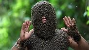 אלפי דבורים על כוורן בווייטנאם                          