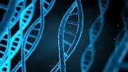 מוטציה שתורמת לאריכות ימים של גברים