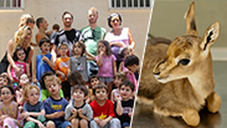 גן ילדים בתל אביב תרם 3500 שקל לבית חולים לחיות בר