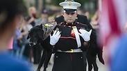 כלב לוויה הלוויה ארה"ב צבא