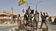 כיסי התנגדות אחרונים. צבא עיראק       