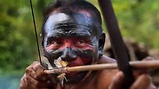 יליד משבט הוואיפאי