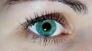 אבחון מחלות לפי רשתית העין