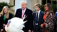 טראמפ חס על התרנגול בבית הלבן     
