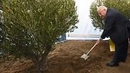 הנשיא ריבלין נוטע עץ לזכר יהודי יוון שנרצחו בשואה