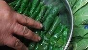 מתכונים עם ירוקים מהמטבח הערבי