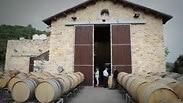 היין הישראלי תופס תאוצה גם בעולם
