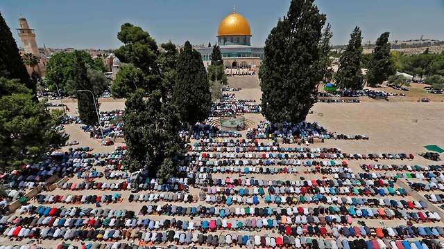 תפילה ל הרוגים ב עזה מתפללים מוסלמים ב הר הבית ירושלים מסגד אל אקצא רמדאן ירושלים