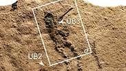 טביעות הרגליים שהתגלו