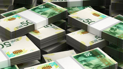 Фото: shutterstock