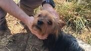 ילדה נמצאה בשדה תירס במיזורי בזכות נביחות של הכלב שלה