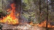 שריפה ביער אחיהוד