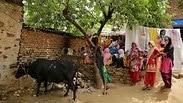 תקיפת סוחרי בקר מוסלמים בהודו