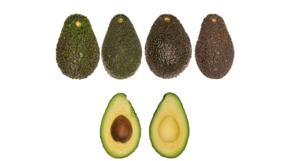 Авокадо сорта "Хасс" 