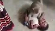 קוף חטף תינוק הודו