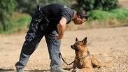 שוטר בהכשרת כלב לזיהוי כתמי דם