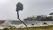 סופת הוריקן מייקל בפלורידה