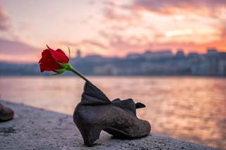 Фото: shutterstock