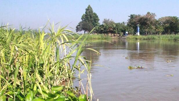 נהר נאן תאילנד הרוגים בהתנגשות בין שני רכבי גולף