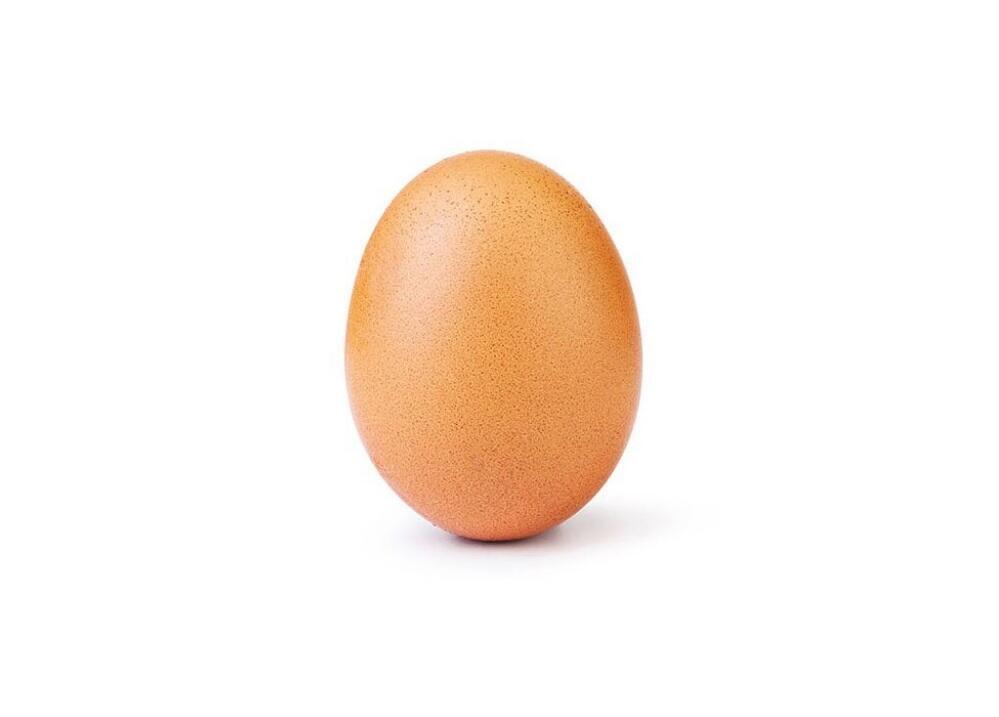 ביצה תמונה לייקים אינסטגרם פופולרית