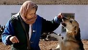כלבים ב טהרן איראן