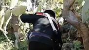 משטרת איטליה תפסה את העבריין הנמלט טרזן שהתחבא ביער בסיציליה