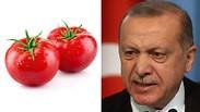 רג'פ טאיפ ארדואן עגבניות ירקות טורקיה