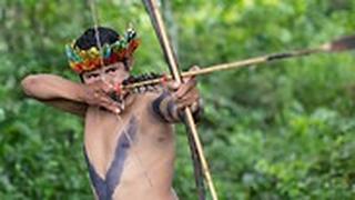 שבט ילידים ב ברזיל 