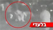 תקיפת שלושה צעירים בסיומה של מסיבה במועדון ה"אומן 17" בתל אביב