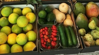 קבוצת רכישה פירות ירקות