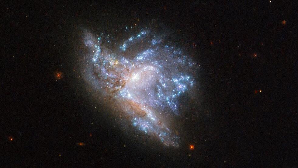 NGC6052 
