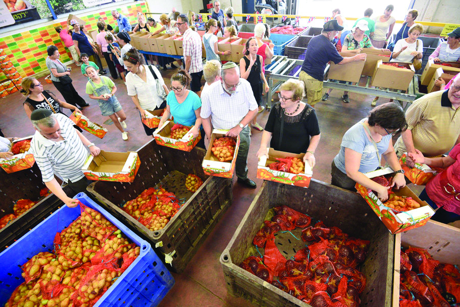 Leket Israel volunteers collect food 