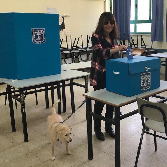 ירדנה ארזי ושמוליק, כלב השמירה של הדמוקרטיה