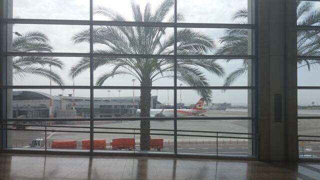 Как получить компенсацию? (Иллюстрация: Анастасия Тадсон) Фотоиллюстрация: Анастасия Тадсон