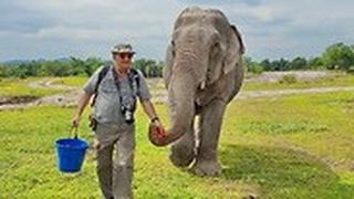 איציק מנור מטייל עם פיל בתאילנד
