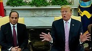 נשיא ארה"ב דונלד טראמפ ו נשיא מצרים עבד אל-פתאח א-סיסי סיסי בבית הלבן