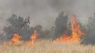 שריפות מבלוני תבערה אשר פרצו במועצה האזורית אשכול