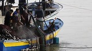 דייגים פלסטינים ב עזה