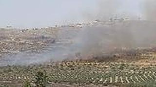 הצתת שדה על ידי פלסטינים ליד שילה