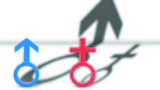 אילוסטרציה