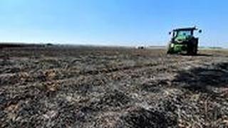 שריפות נחל עוז