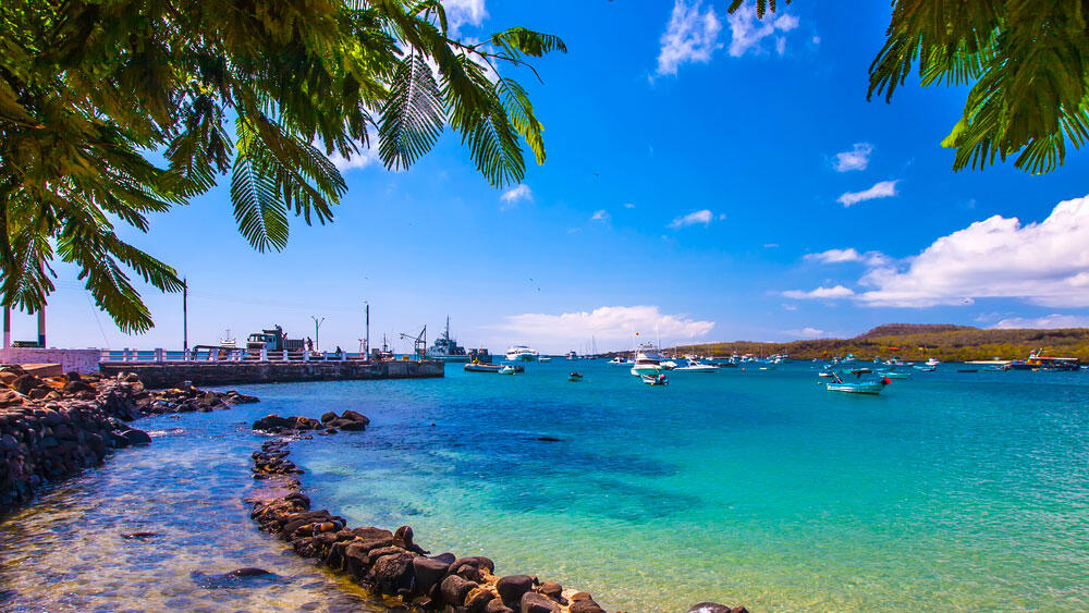 איי גלאפגוס אקוודור