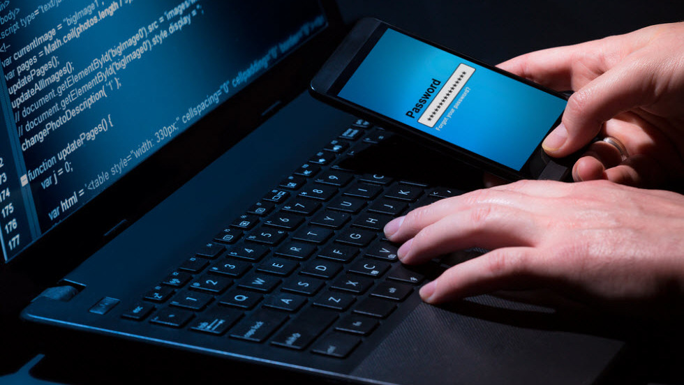 לימודי תכנות ואינטרנט