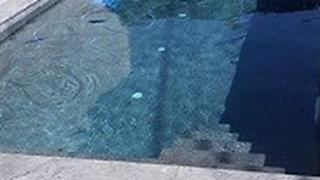 פעוט בן שנתיים טבע בבריכה פרטית בגוש עציון