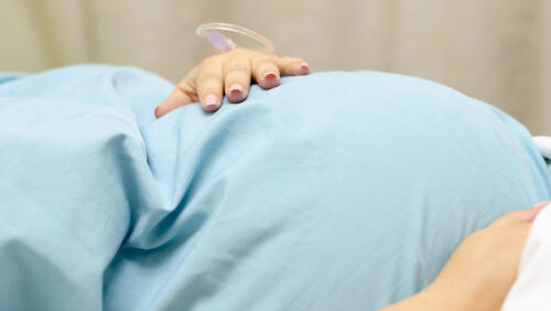 Фото: shutterstock