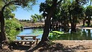 מעין עין נון